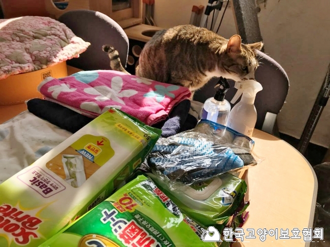 KakaoTalk_20180226_115438277.jpg