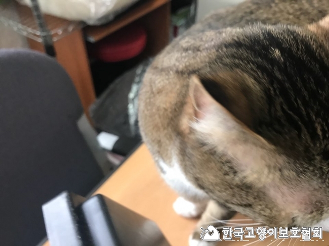 KakaoTalk_20180228_114027025.jpg