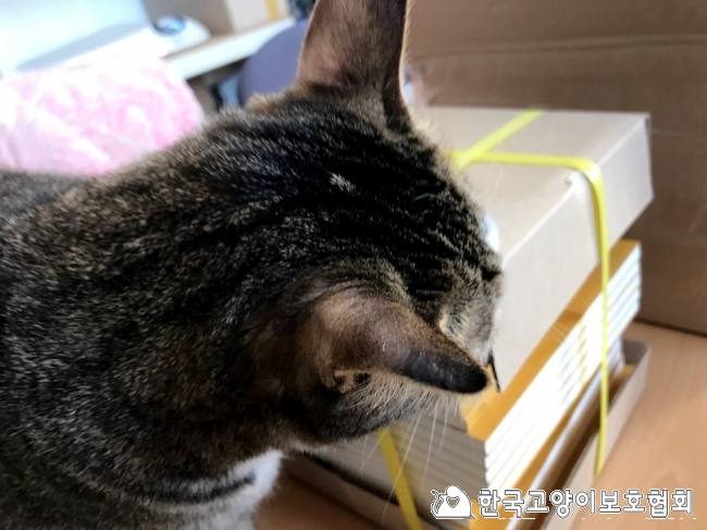 KakaoTalk_20180302_160523791.jpg