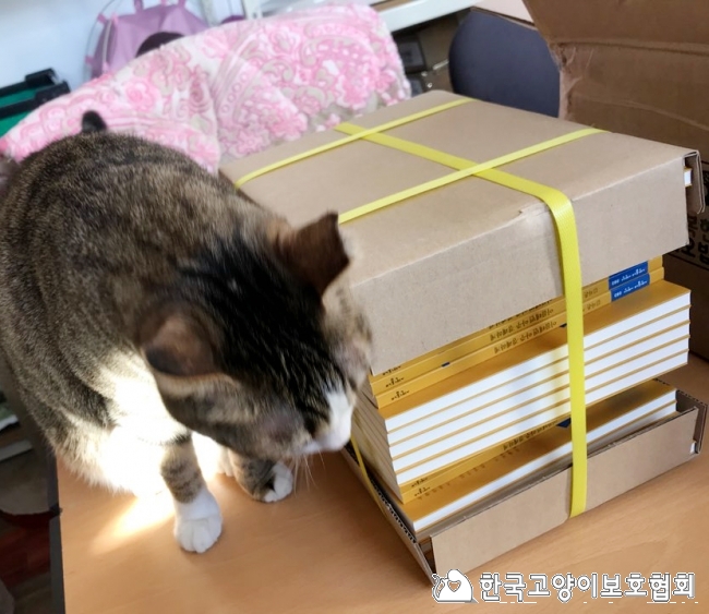 KakaoTalk_20180302_160524062.jpg