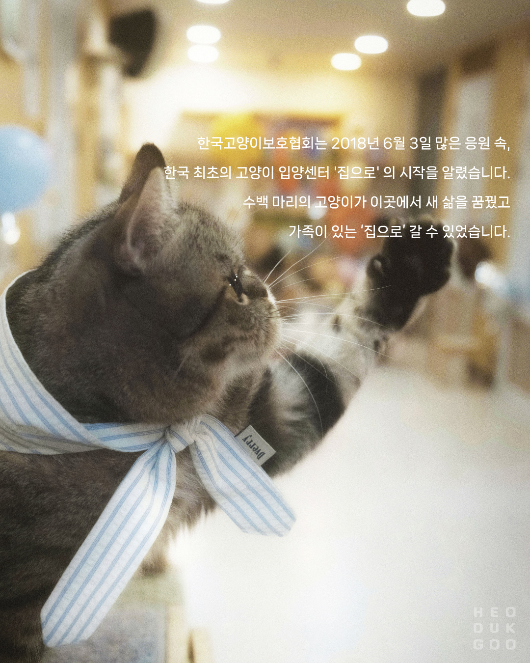 모금소식2.jpg