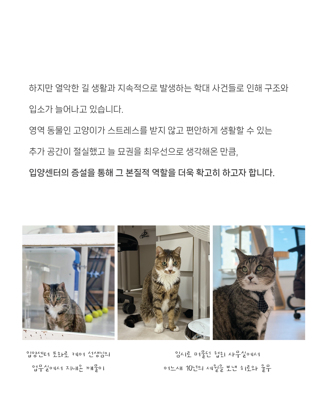 모금소식3.jpg