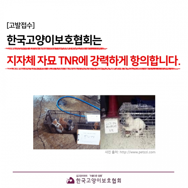 지자체TNR.jpg