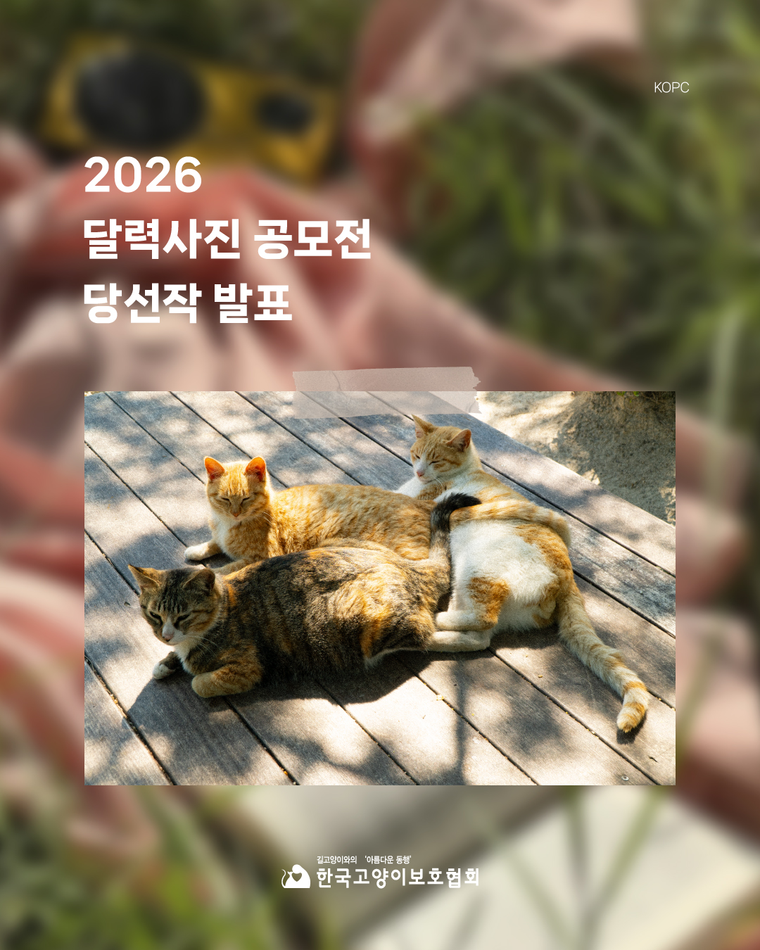 발표1.jpg
