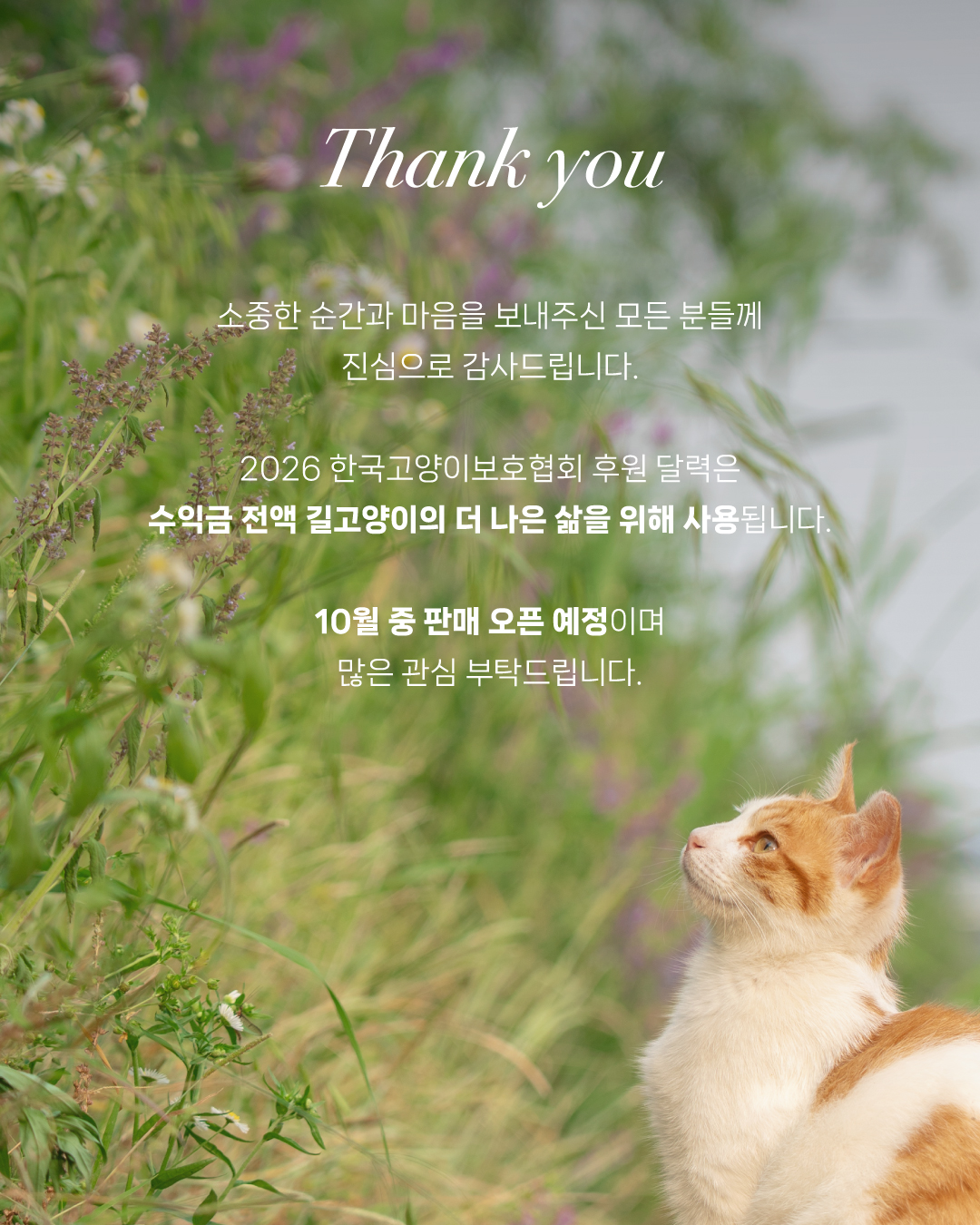 발표3.jpg