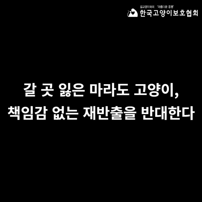 갈 곳 잃은 마라도 고양이, 책임감 없는 재반출을 반대한다.jpg