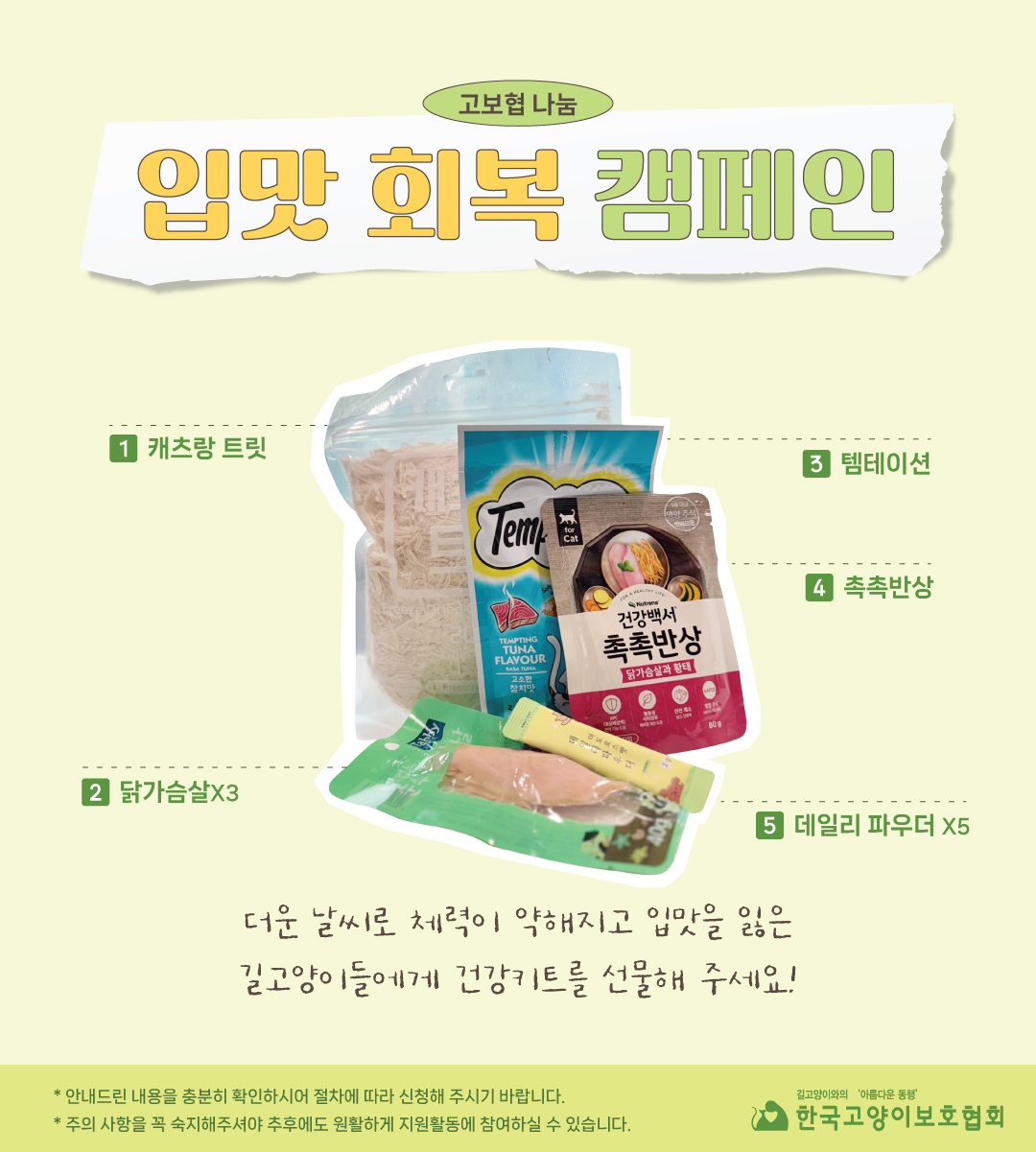 캠페인.jpg