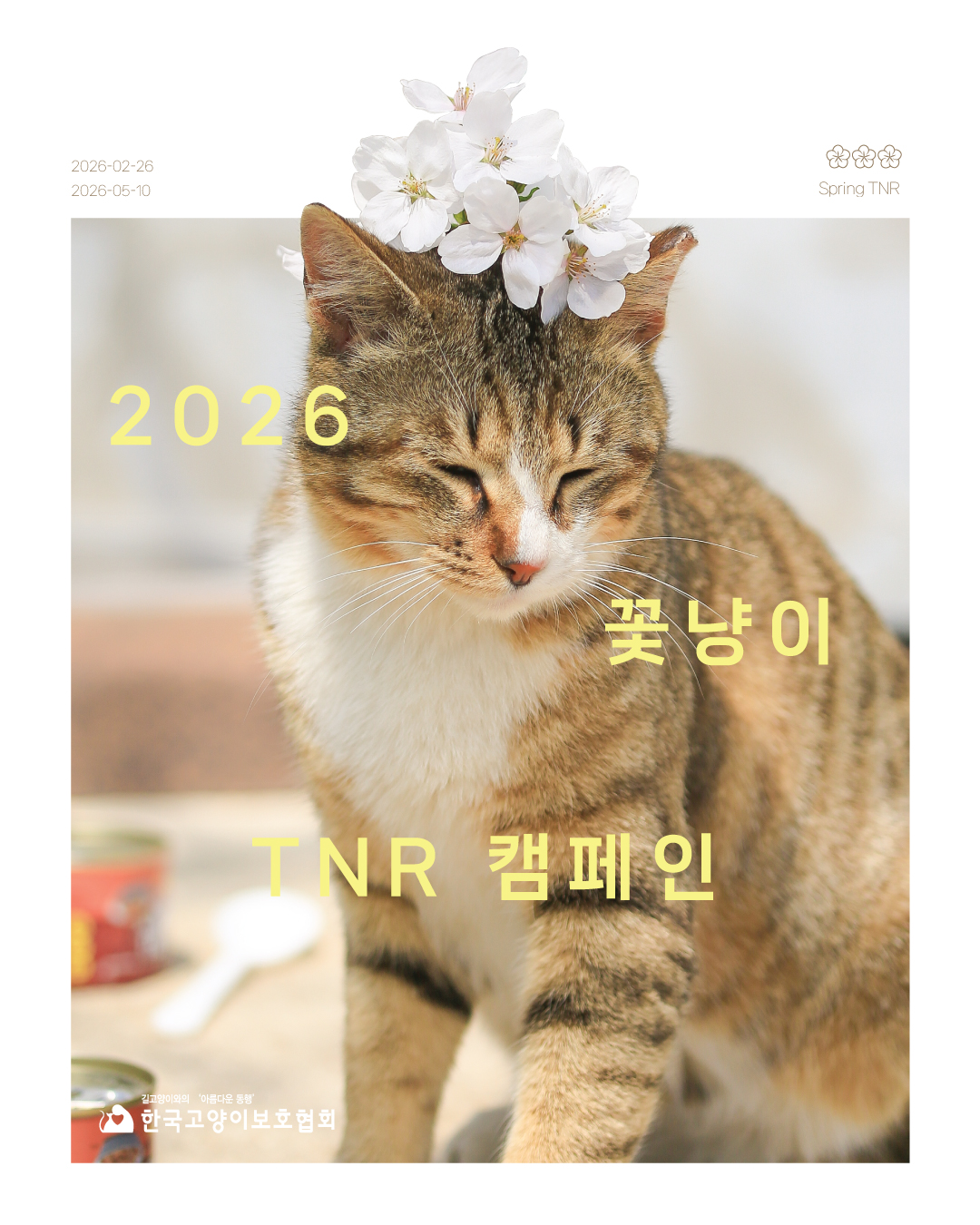 26-꽃냥이.jpg
