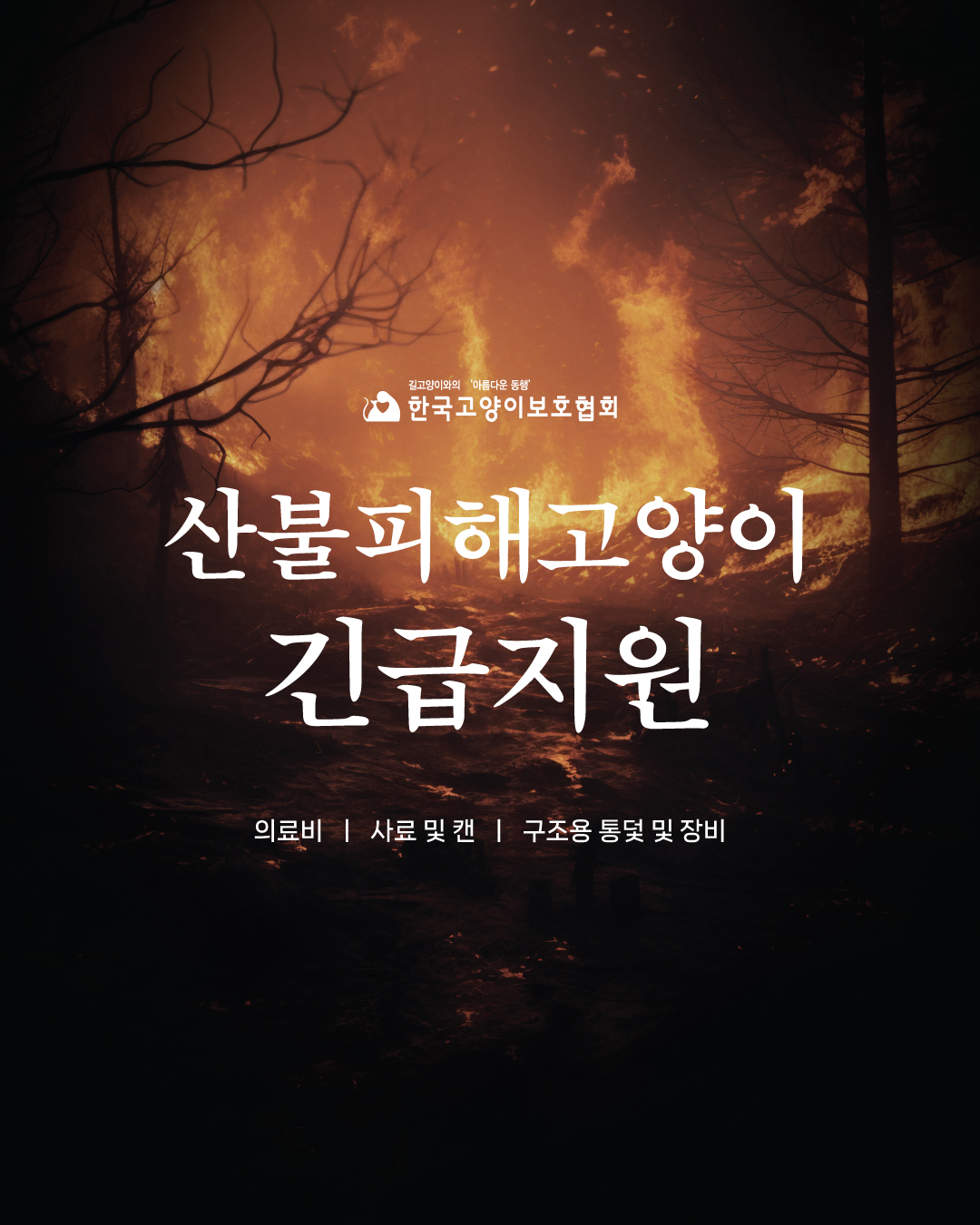 산불.jpg
