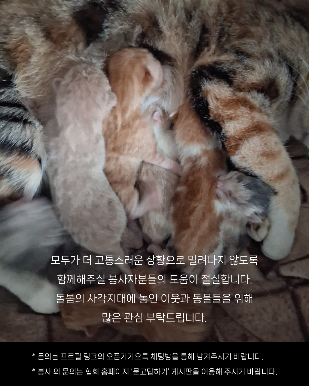 대전긴급6.jpg