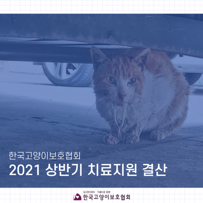 2021상반기 (1).jpg