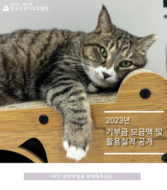 공지 이미지.png