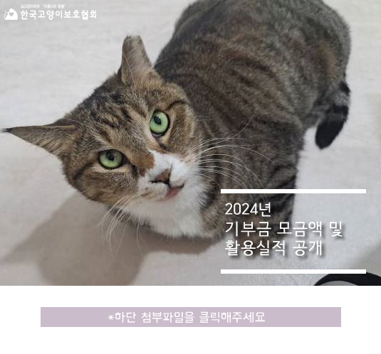 공지 이미지.png