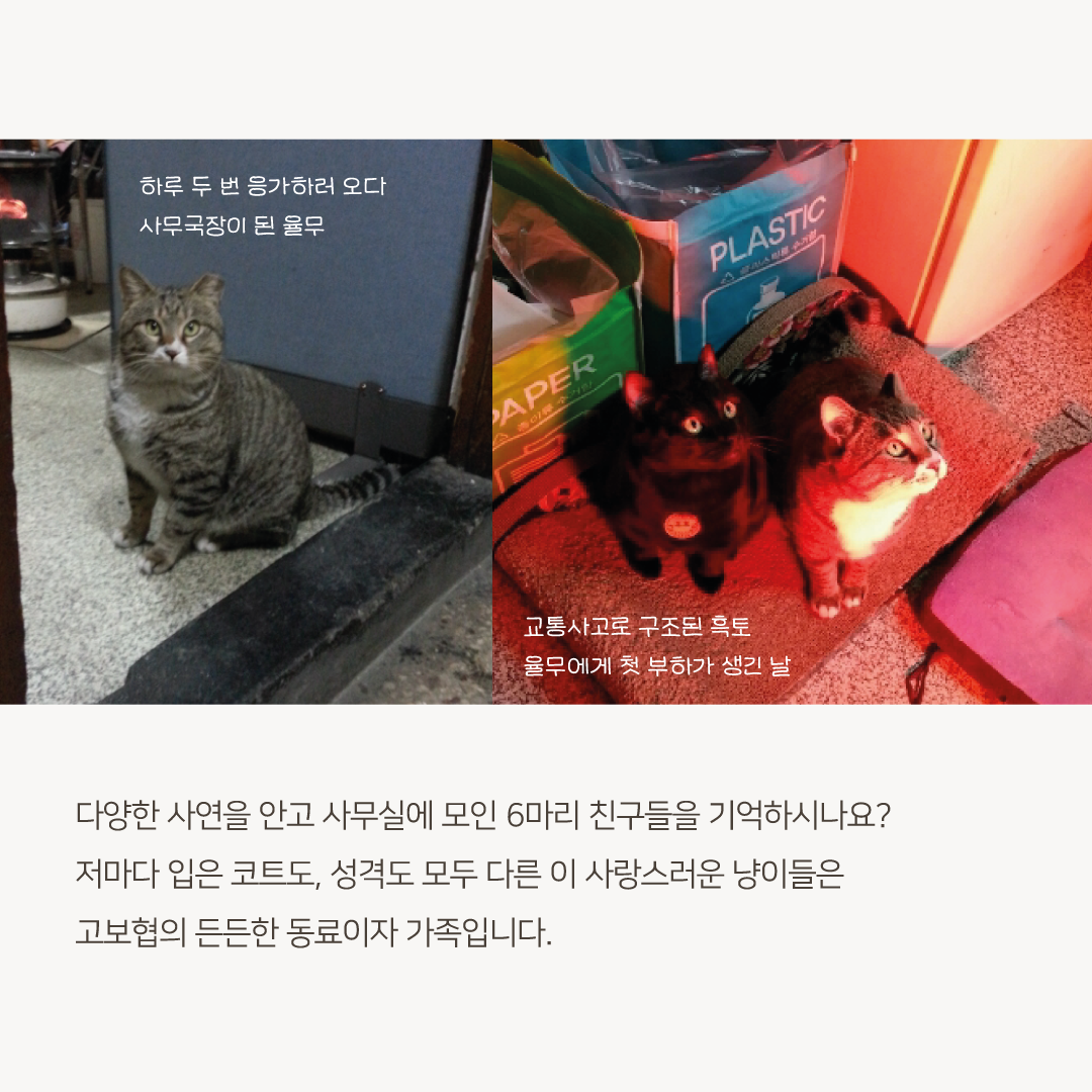 추석모금2.png