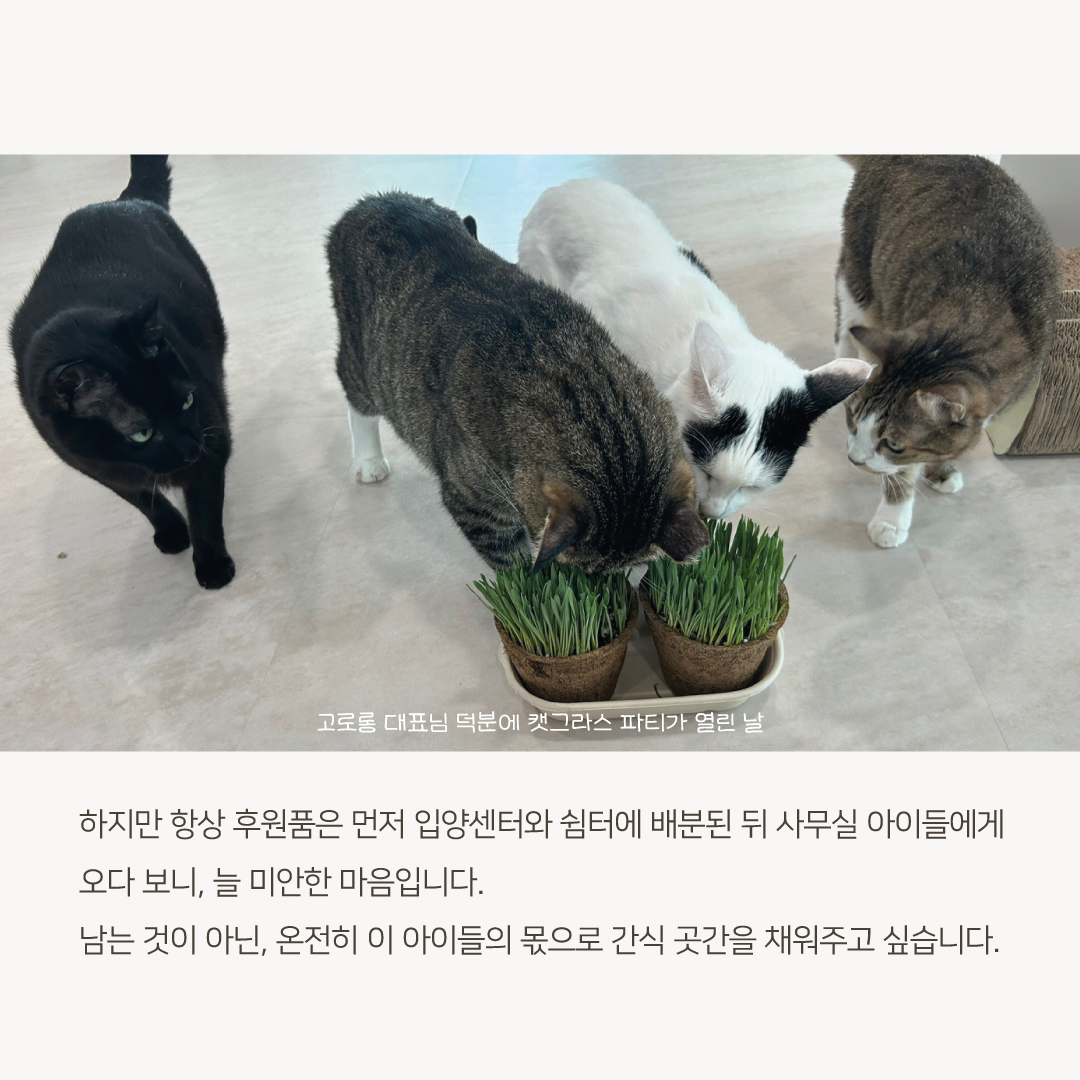 추석모금4.png