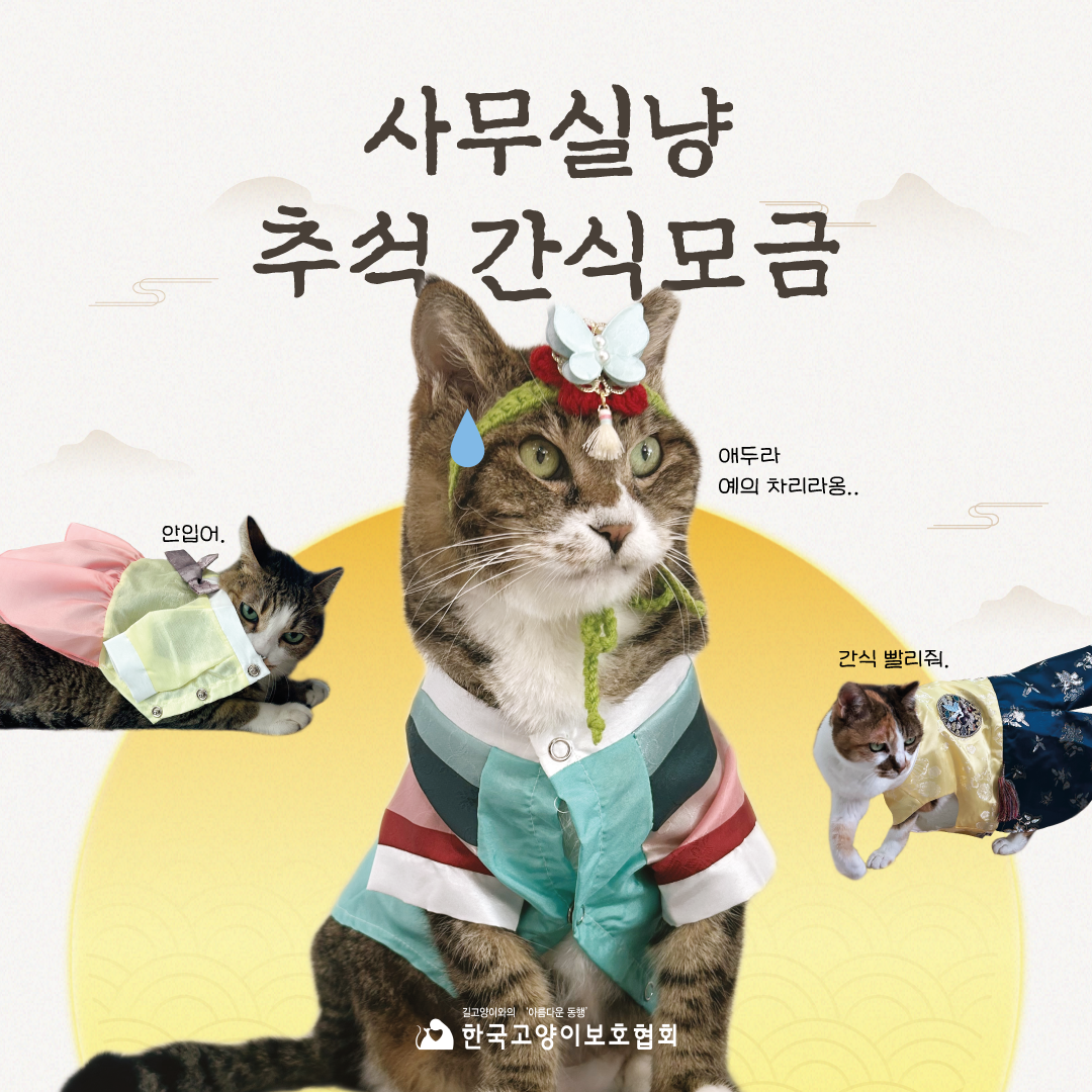 추석모금1.png