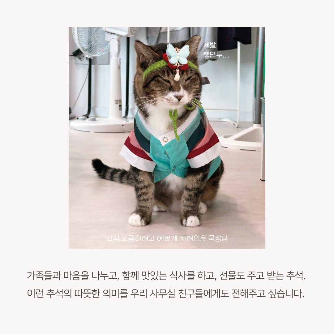 추석모금5.png