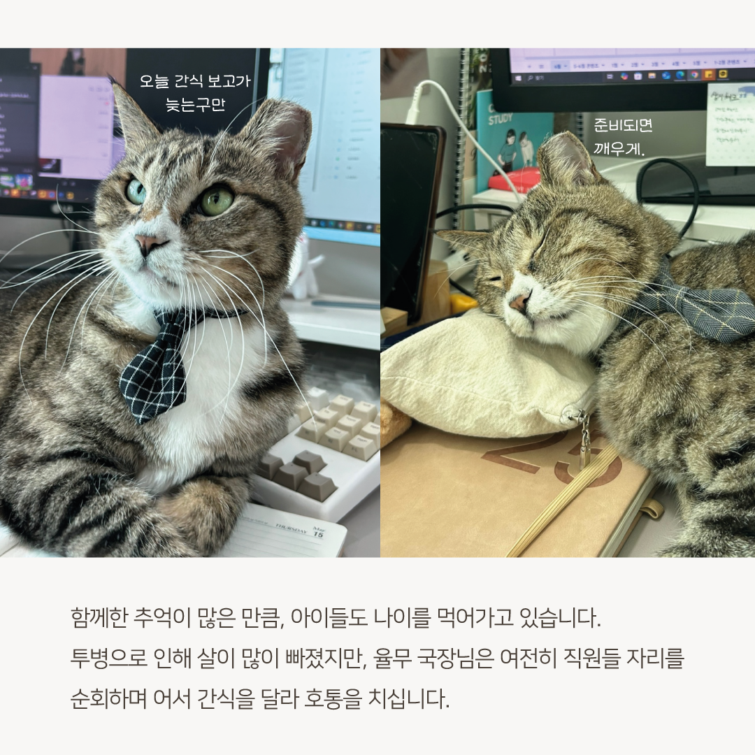 추석모금3.png