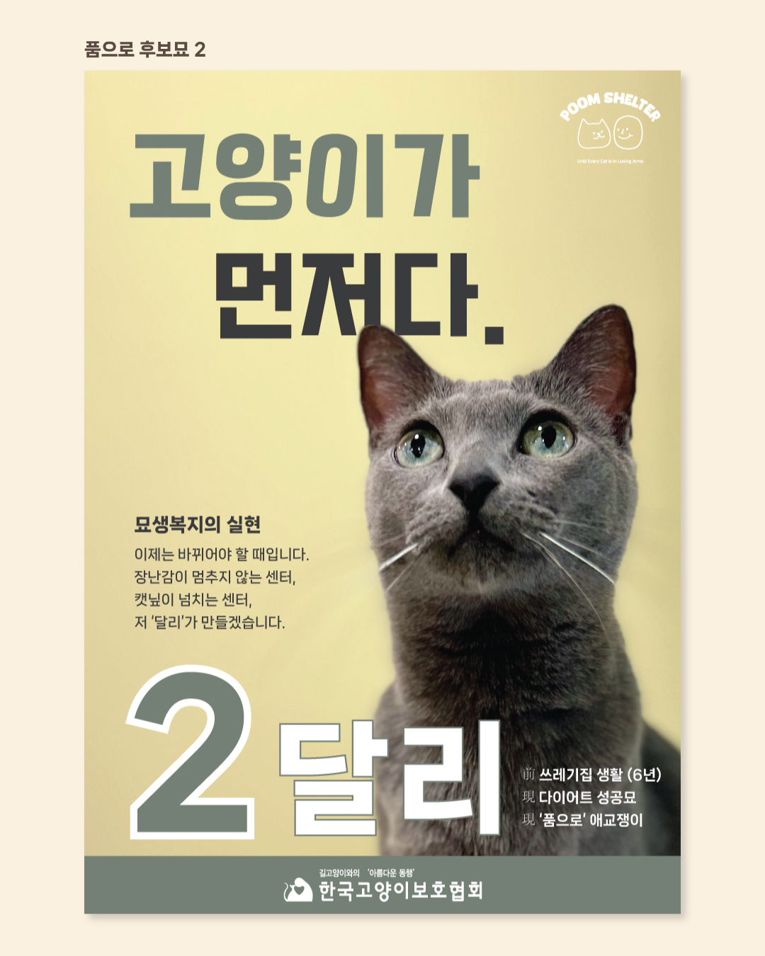 투표7.jpg