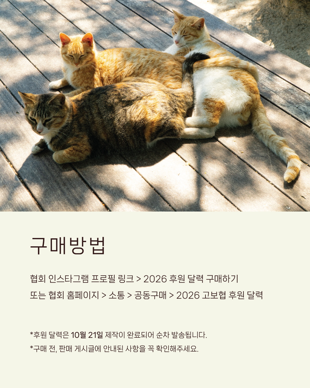 달력오픈3.jpg