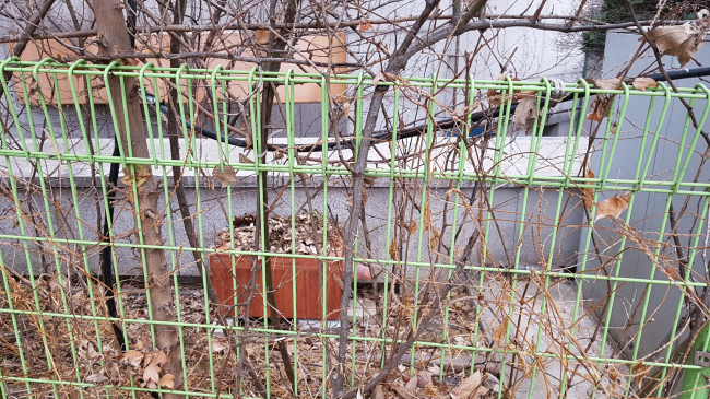 20191222_082514.jpg