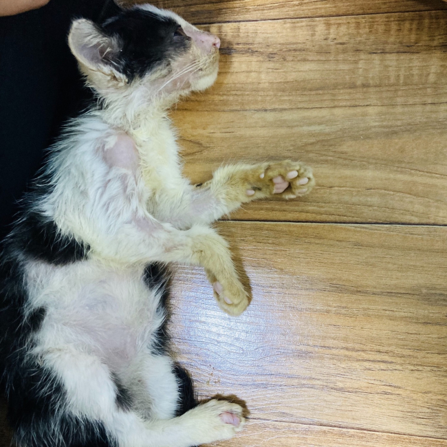 KakaoTalk_20220831_115220896.jpg
