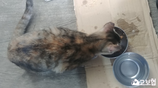 20180623_102030.jpg