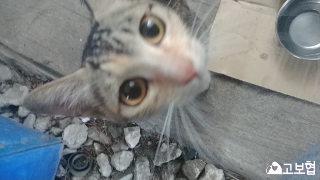 20180623_102120.jpg