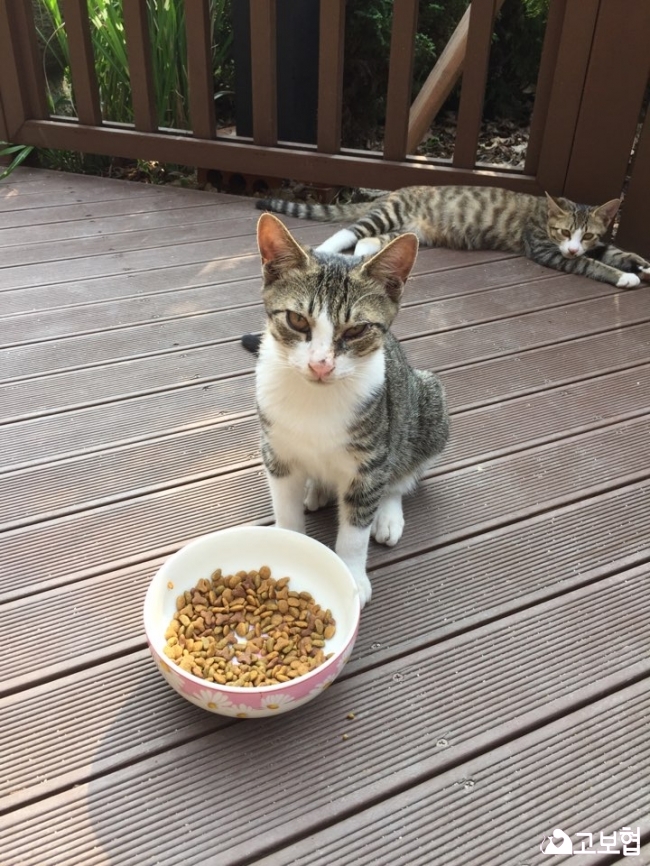KakaoTalk_20180604_190657136.jpg