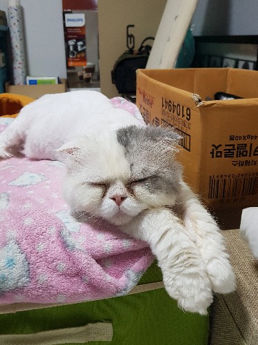 KakaoTalk_20190704_172829697.jpg
