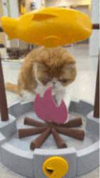 18.gif
