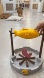 6.gif