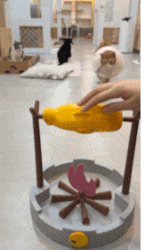 7.gif