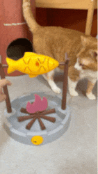21.gif