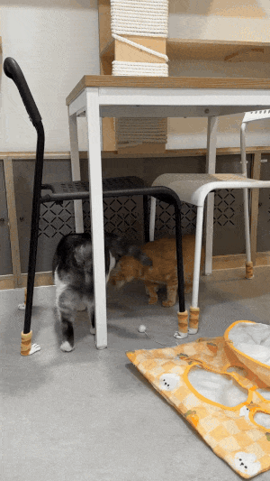 7번째 사진.gif