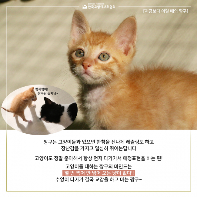 KakaoTalk_20190620_110526319.jpg