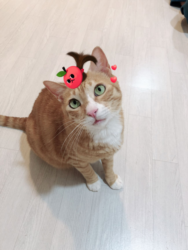 KakaoTalk_20190627_144735774_03.jpg