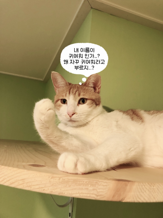 KakaoTalk_20190627_144937457_05.jpg