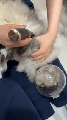 4.gif