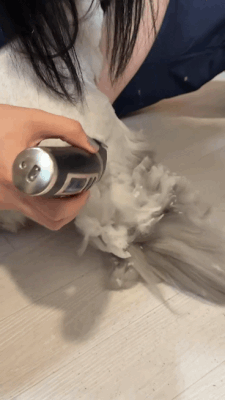 7.gif