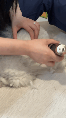 6.gif