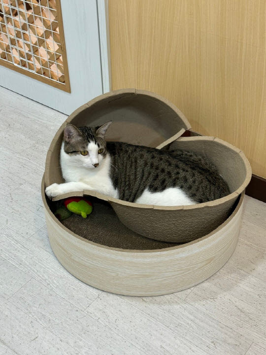 6번째 사진.jpg
