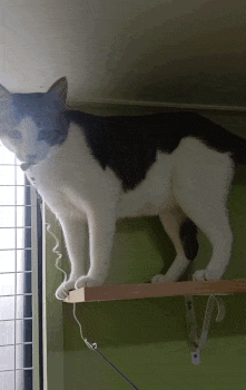 5번째 사진.gif