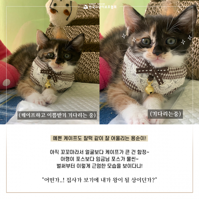 용순6.jpg