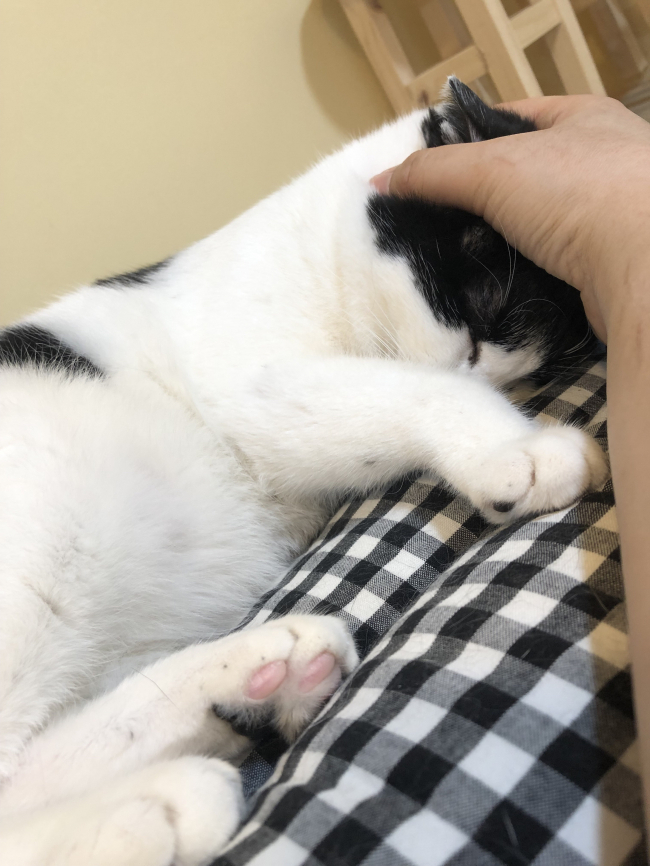 KakaoTalk_20190404_111150372_13.jpg