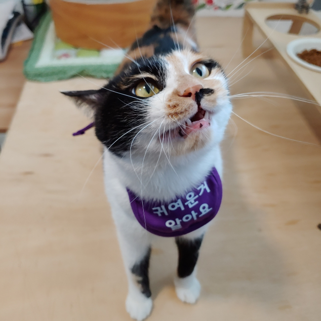 KakaoTalk_20190417_114850165_01.jpg