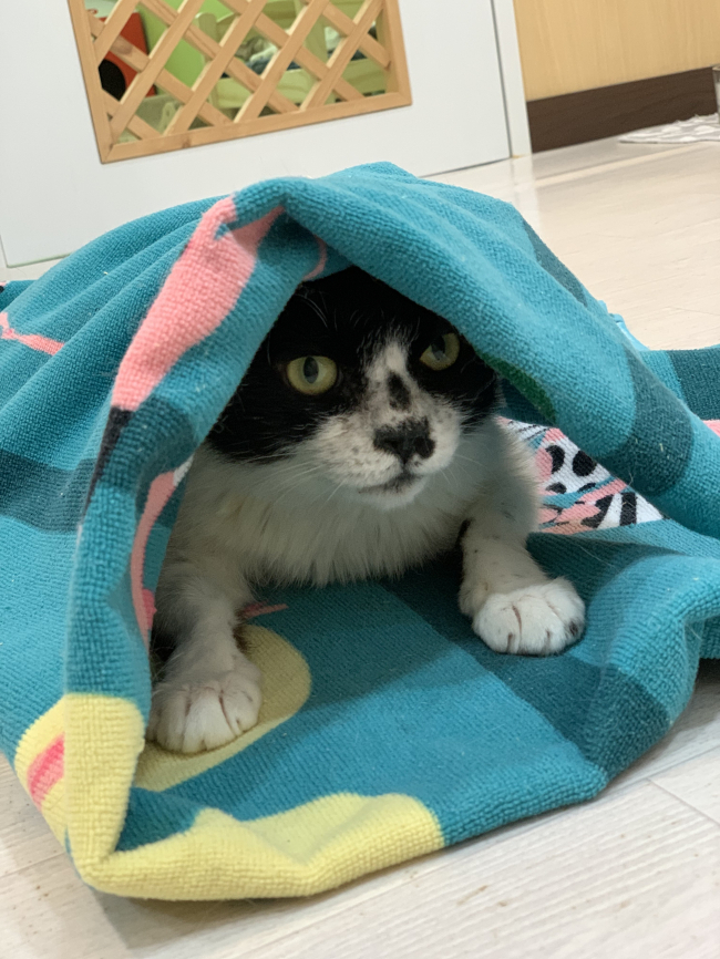 11번째 사진.jpg