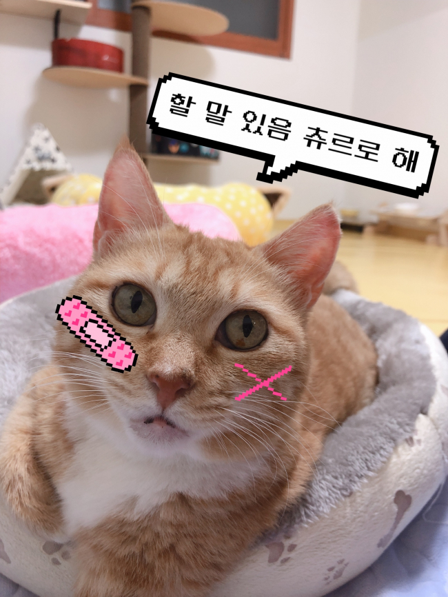 KakaoTalk_20190729_141723271_23.jpg