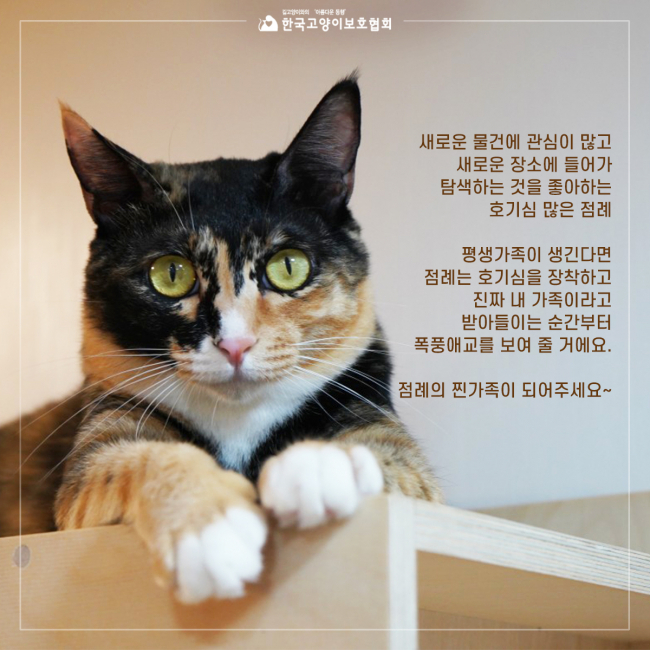 점례 (7).jpg