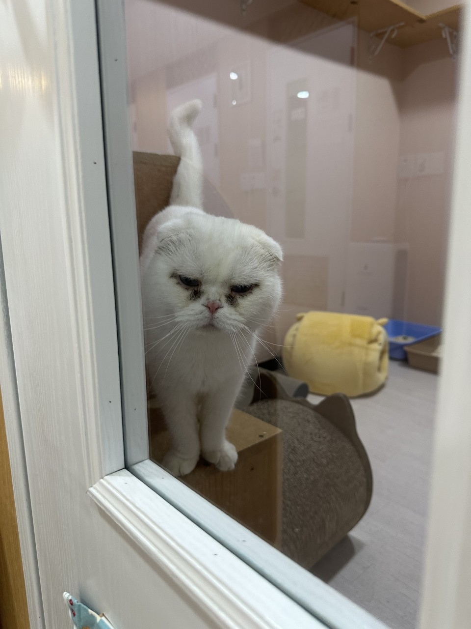 2번째 사진(4).jpg